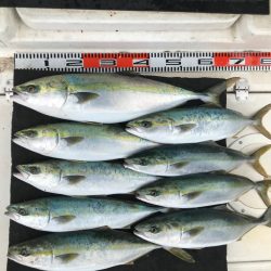 明石海峡の青物ジギング