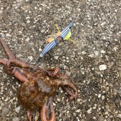 ⭐︎6-3.4-2.3-5上…