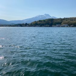 野尻湖スモールマウスバス