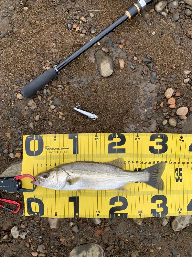 ハクパターン攻略