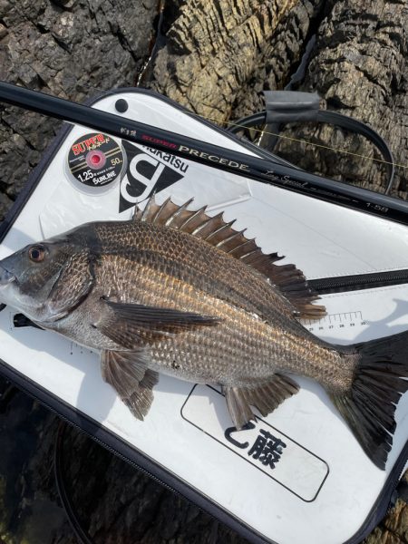 鶴見にで歳無し！