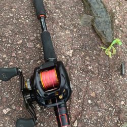 富山でやっと初のまともな釣果