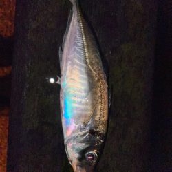 雨の中・・・。