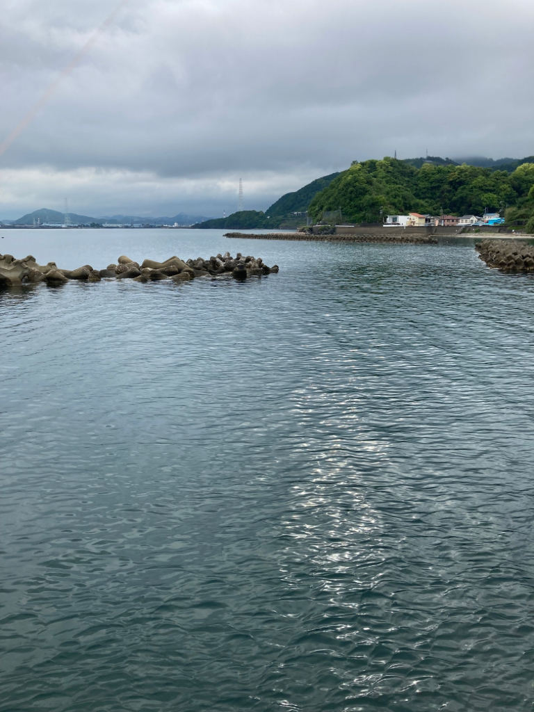 今シーズン初アオリ!記録更新!