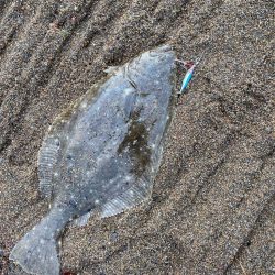 サーフジギング