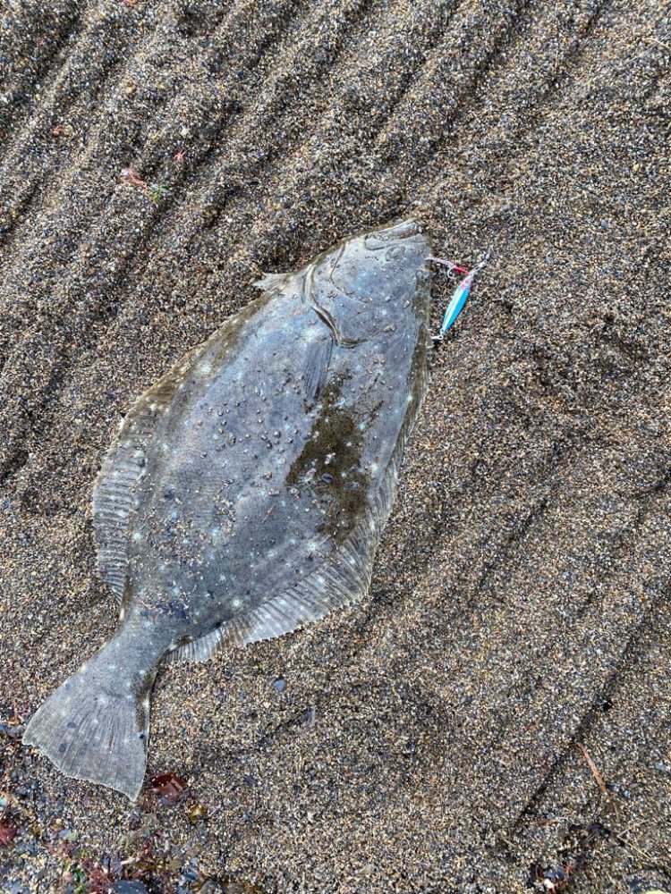 サーフジギング