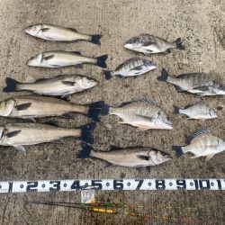 強い魚の引きもトラブル無しの釣果