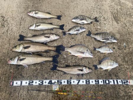 強い魚の引きもトラブル無しの釣果