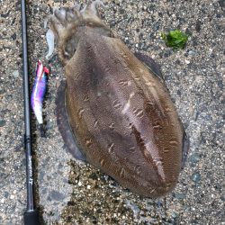 キロアップですが……