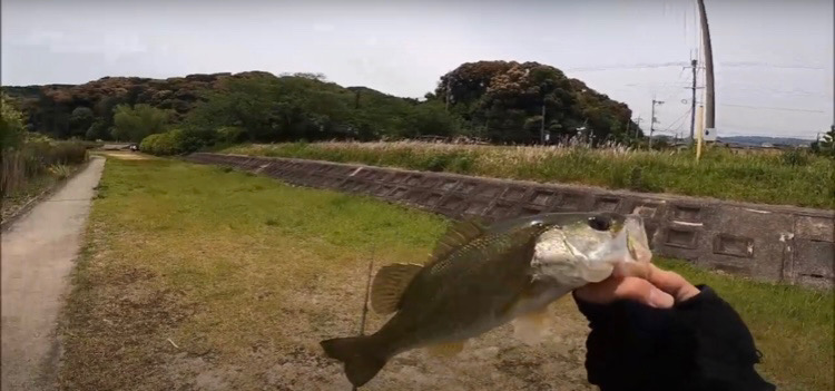 激ムズの昼の琵琶湖