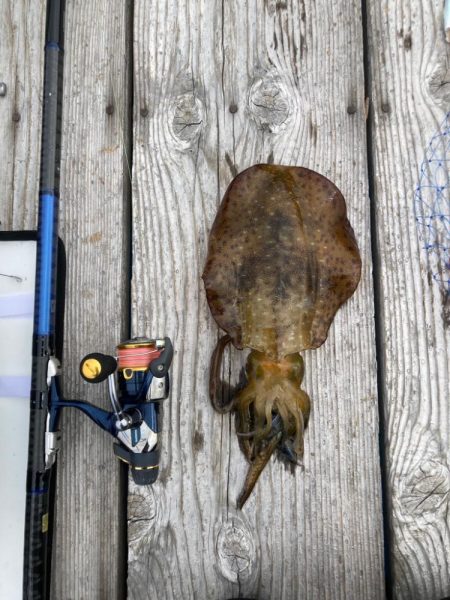 中紀ヤエン釣行