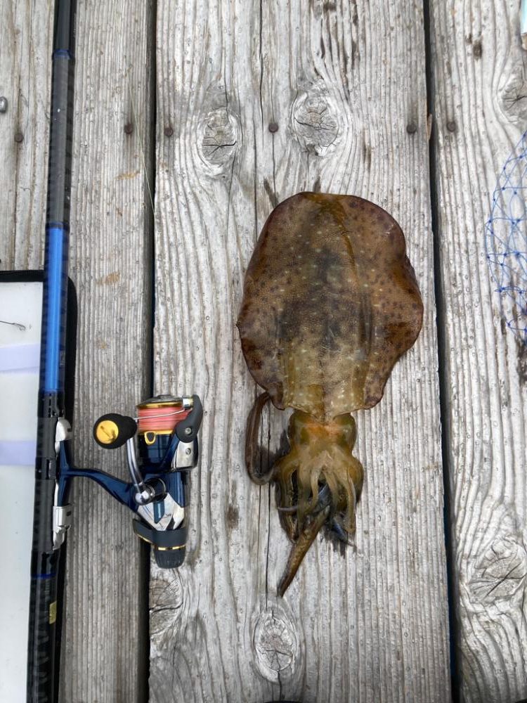 中紀ヤエン釣行