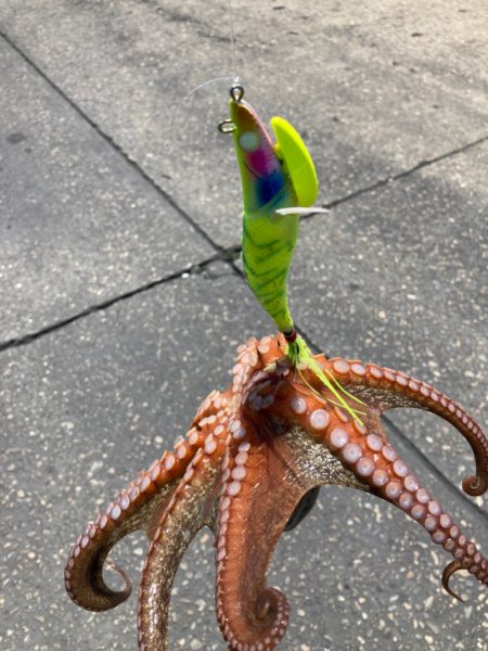 ⭐︎新規開拓へ