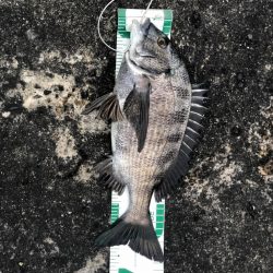 須磨ヨットハーバー冲一文字