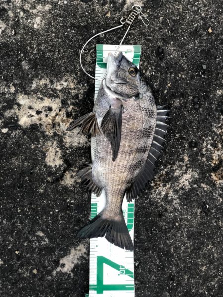 須磨ヨットハーバー冲一文字