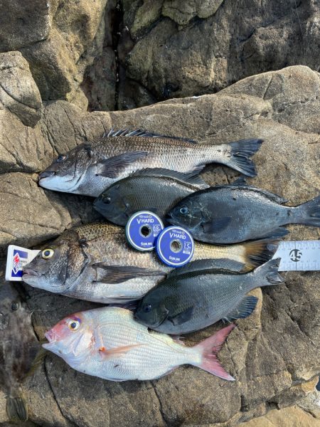 津久見リベンジ