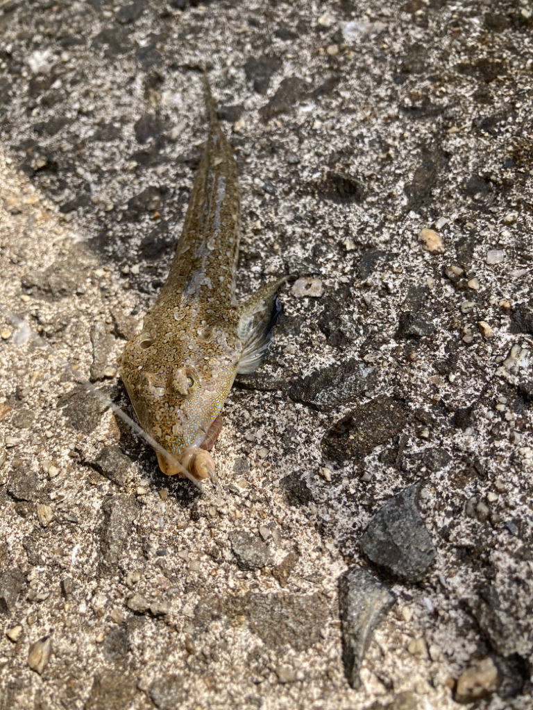 ファーストキス