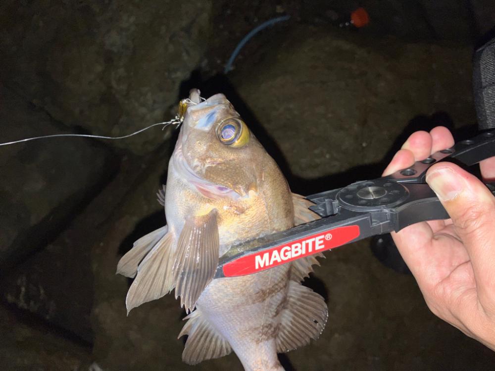 激渋メバリング