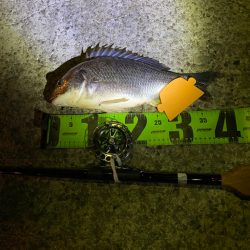 ヘチってきました