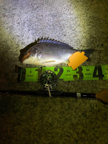 ヘチってきました