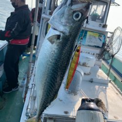 サバですが過去最高
