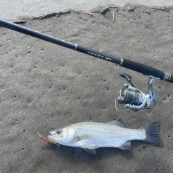 初の宮崎は大負け