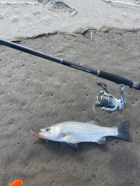 初の宮崎は大負け