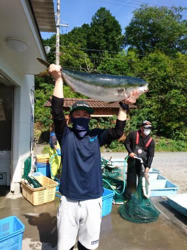 久しぶりの鰤！