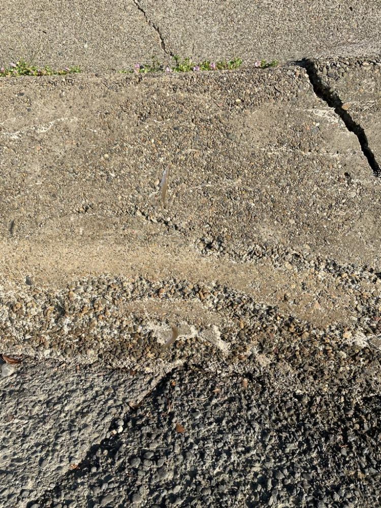 気になっていたポイントにキス釣り