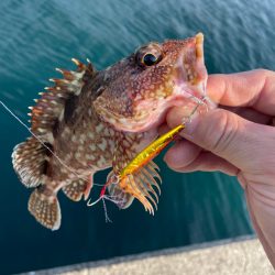 スーパーライトショアジギング