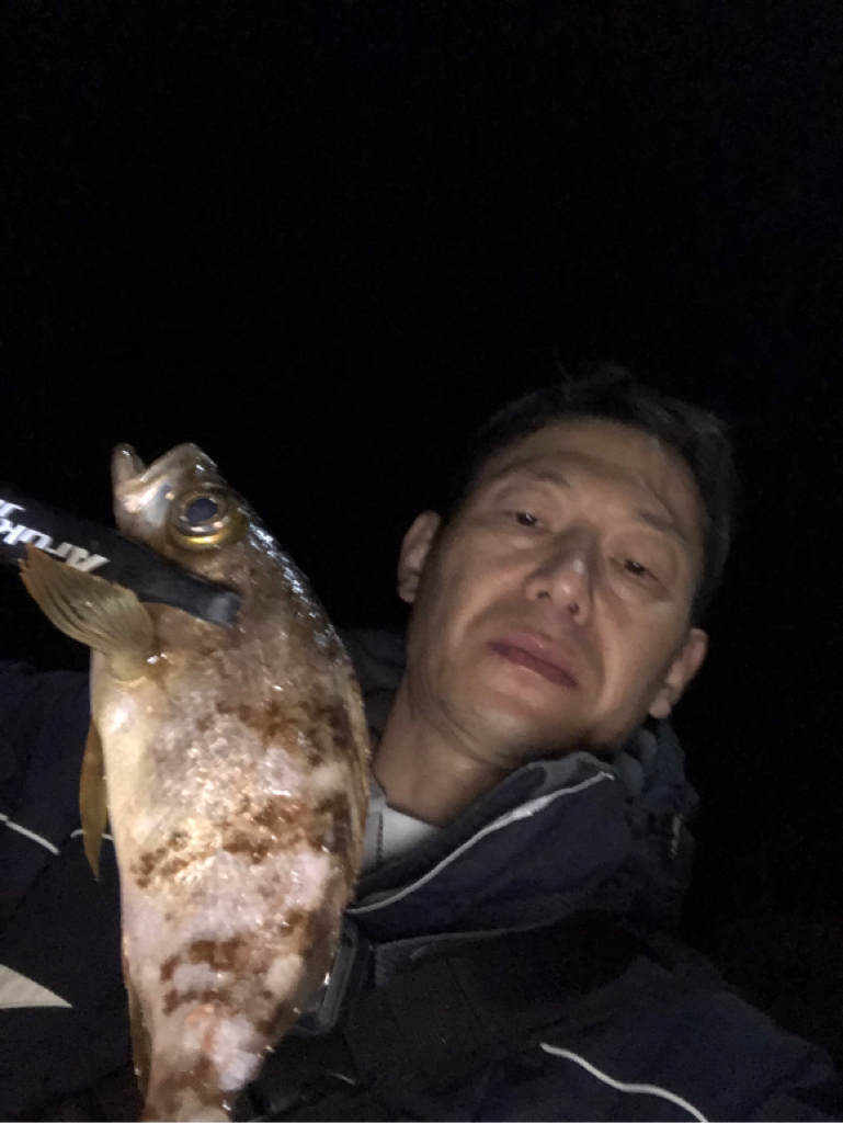 雨中メバリング⁉️