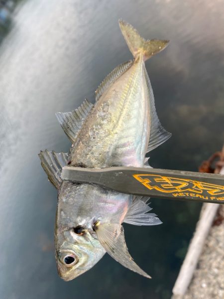 パターンの見つけ方