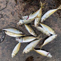 釣れないけど楽しい時間