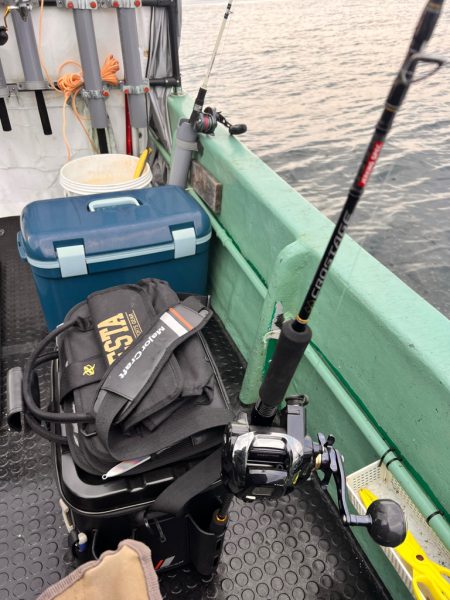 サクラサカズ…