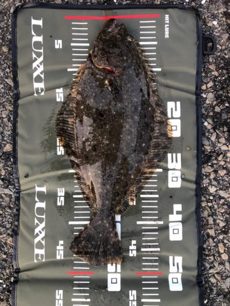 トリックサビキからのヒラメ！