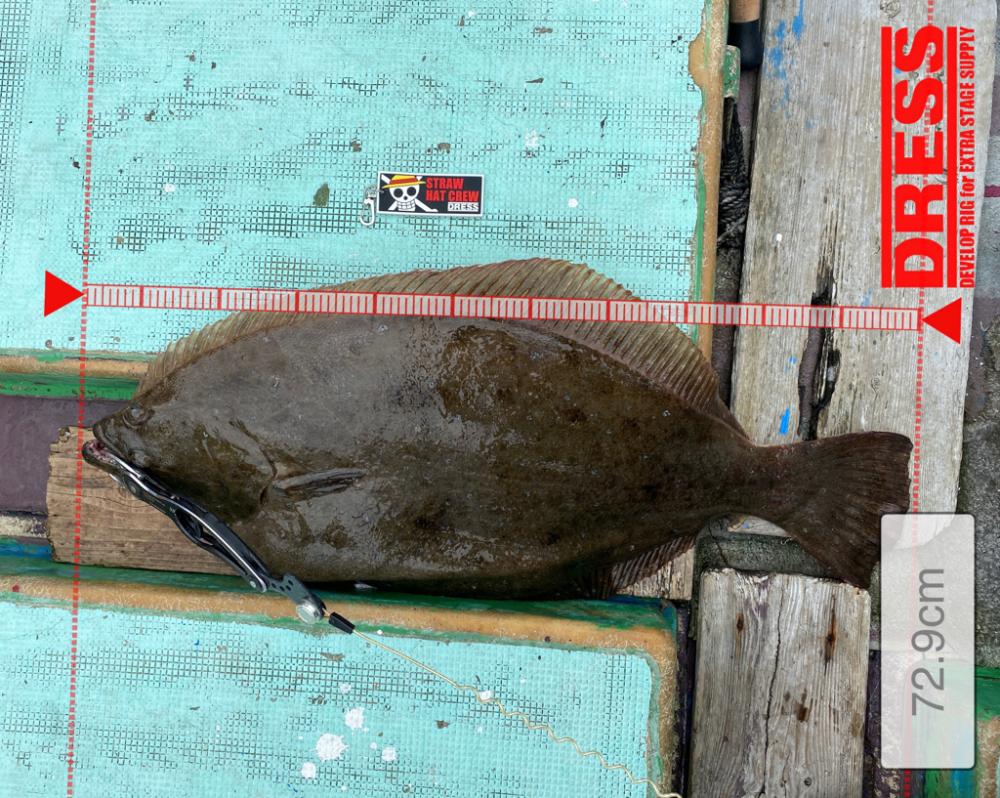 勝浦興津の大八丸さんにてやっちまったな！