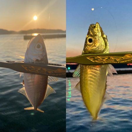 パターンの見つけ方