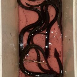 短時間でうなぎ釣り