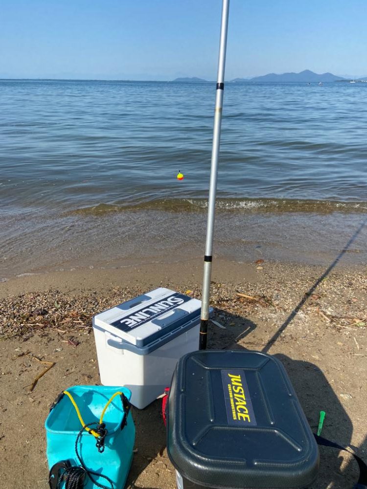 琵琶湖小鮎釣り