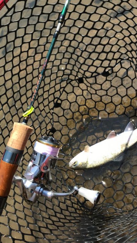 熱々エリアトラウト！