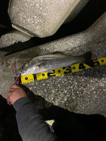 親父たちの釣行　