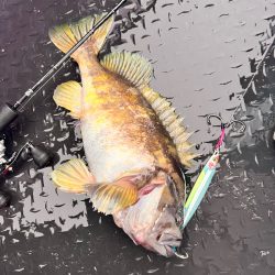 オフショアジギング