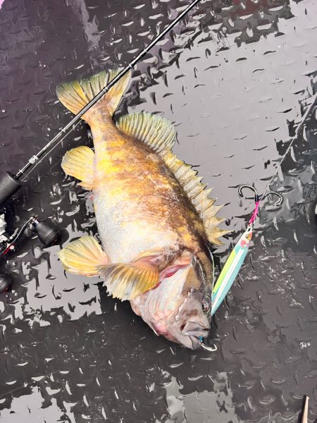 オフショアジギング