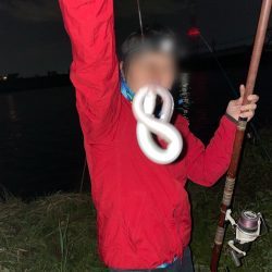 今シーズン初のウナギ調査