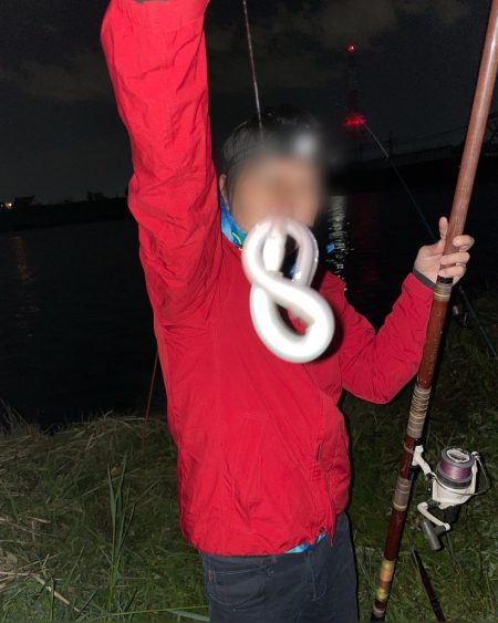 今シーズン初のウナギ調査