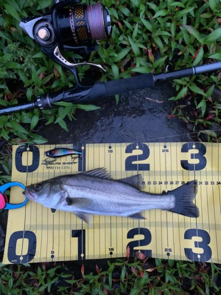 雨が降って好釣⁉︎