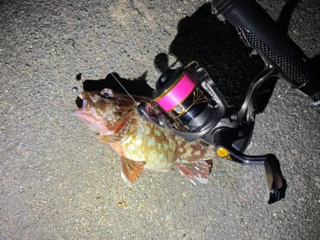 ファーストインプレッション