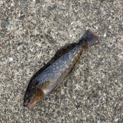 親子でのんびり