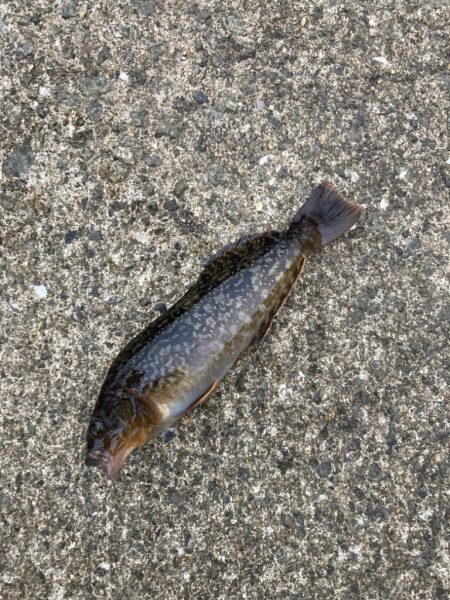 親子でのんびり