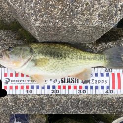 アフター狙い❓